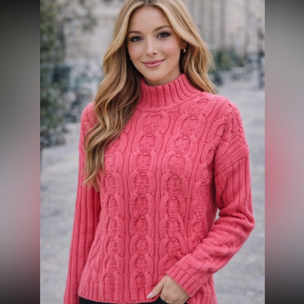 Chunky Cable Knit Mock Neck Sweater Pink Boundary Waters